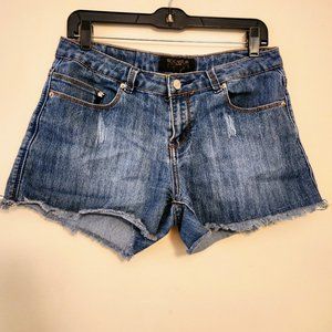 Women's Vintage Rocawear Jean shorts